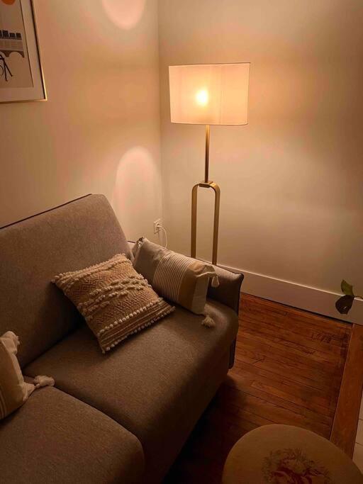 Appartement Entierement Renove Proche Gare Grenoble Buitenkant foto