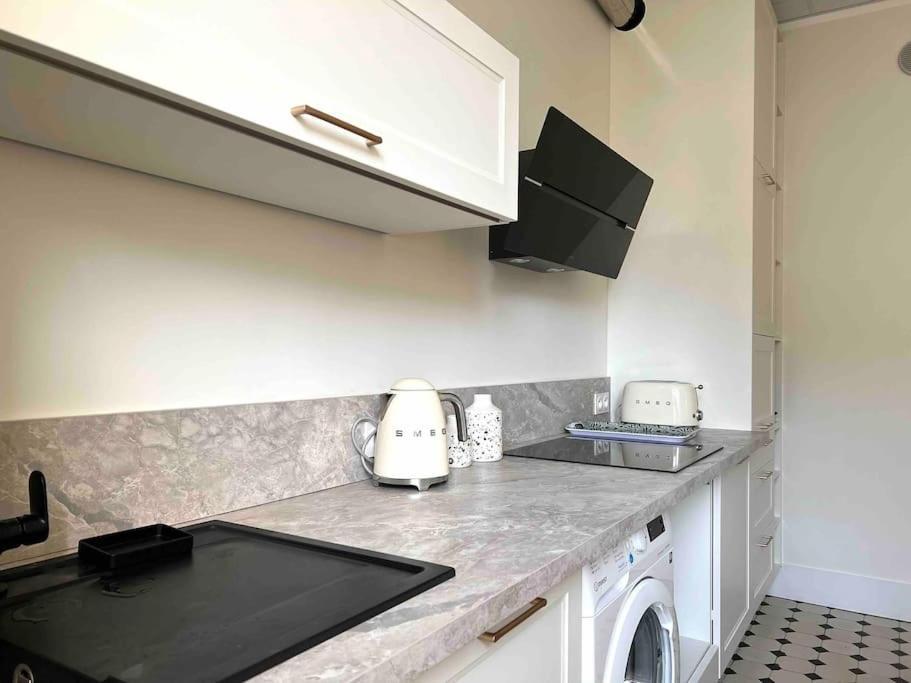 Appartement Entierement Renove Proche Gare Grenoble Buitenkant foto